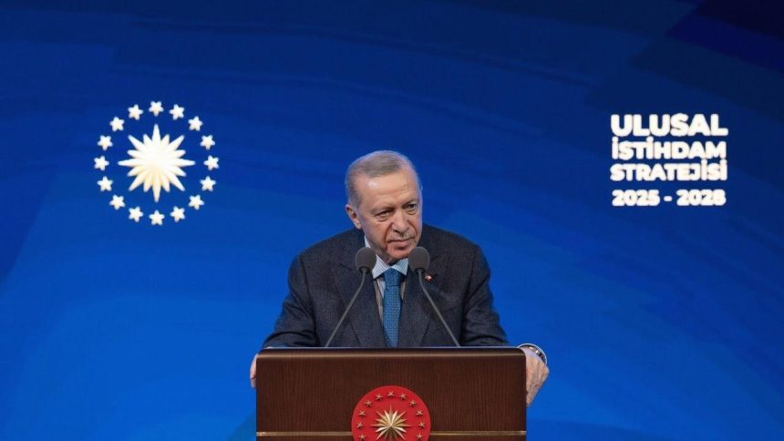cumhurbaskani erdogan aciklamisti genclik programi rekor basvuru wMkRAtkH