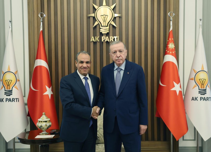 cumhurbaskani erdogan misir disisleri bakani abdulatiyi kabul etti KWe41Ev5