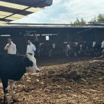 denizlide sap hastaligina karsi onlemler arttirildi Wc96361f