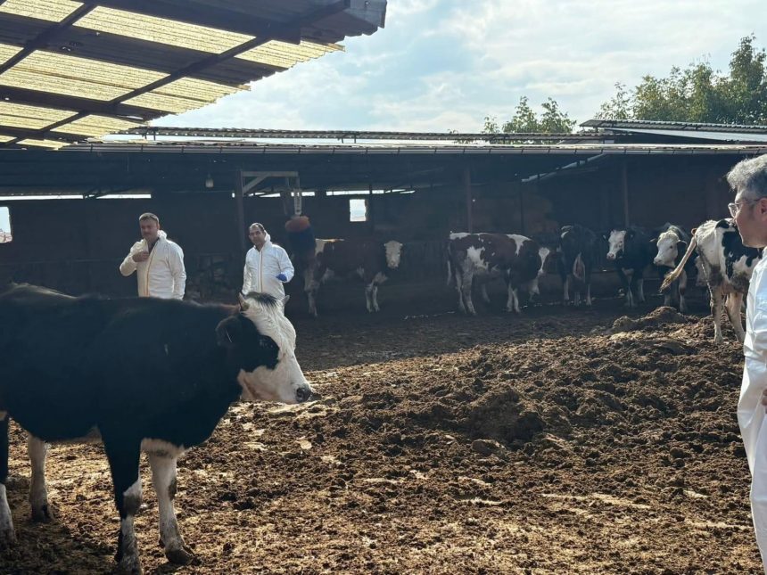 denizlide sap hastaligina karsi onlemler arttirildi Wc96361f