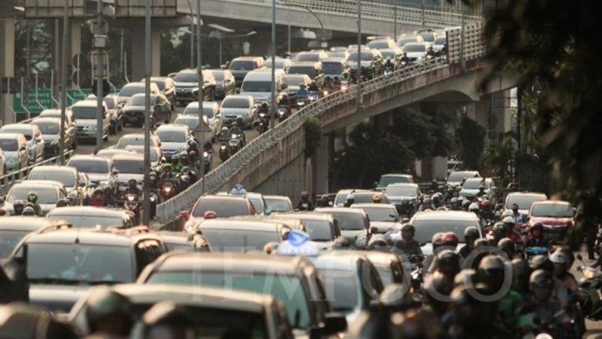 dunyanin en kalabalik sehirleri belli oldu tT7Pfiif