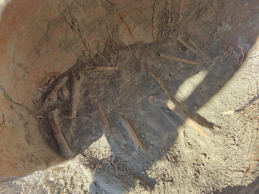 Hafriyat çalışmasında M.Ö. 1500'e ilişkin yılına ilişkin insan kemikleri bulundu 71 hafriyat calismasinda mo 1500e iliskin yilina iliskin insan kemikleri bulundu YOmFHGPG