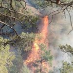 hatayda orman yangini rH1OciYx