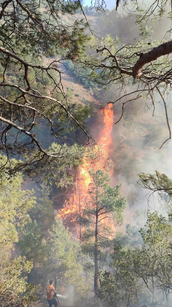 hatayda orman yangini