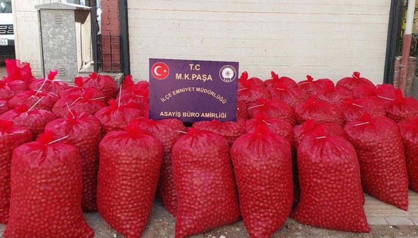 hirsizlar cuval cuval cevizle yakalandi 1NTj46S1