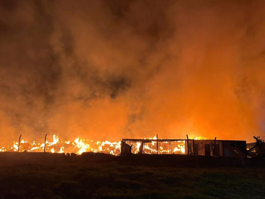 izmirde cop depolama alaninda yangin alevlere mudahale suruyor hY3cORza