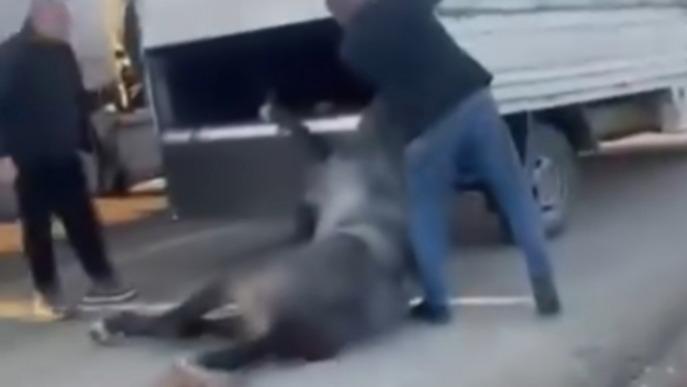 kamyonetin ardina bagladigi ati dakikalarca surukledi W9icOOPl