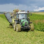 kastamonuda pancar mesaisi MlaMJmYM