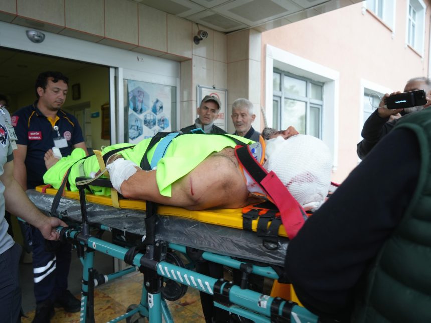 mantar toplarken ayi saldiran imam yaralandi cgPiByPO