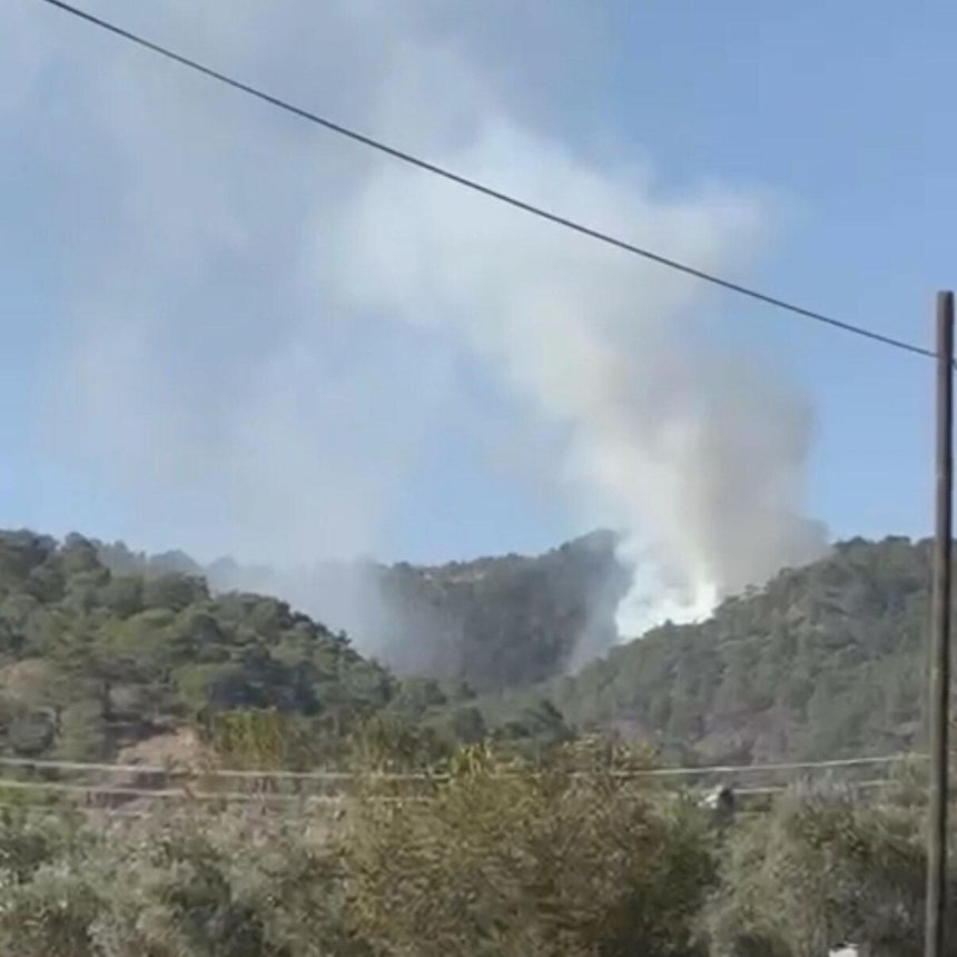 Muğla'da orman yangını 71 muglada orman yangini s6J9ZDG7