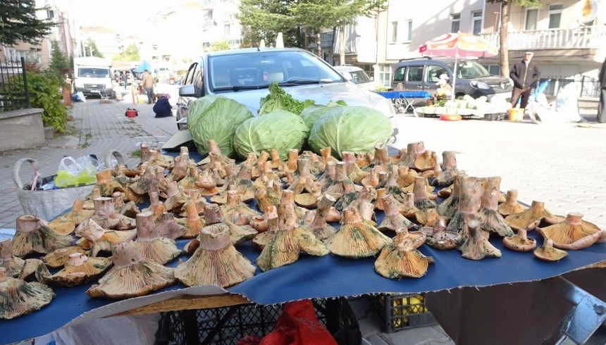 Pazar tezgahlarına rahmet getirdi: Kilosu 150 TL'den başlıyor 71 pazar tezgahlarina rahmet getirdi kilosu 150 tlden basliyor MGNcpa6j