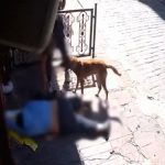 sara nobeti geciren adamin kiyafetine kadar caldilar biBf69XB