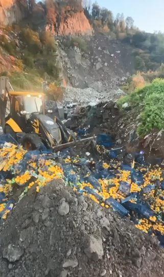 sarp hudut kapisinda 6 ton mandalina imha edildi zirai ilac kalintisi tespit edildi dVveRV5m