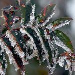 ureticilere toplam 22 milyar 946 milyon lira zirai don takviyesi RnZGaalw