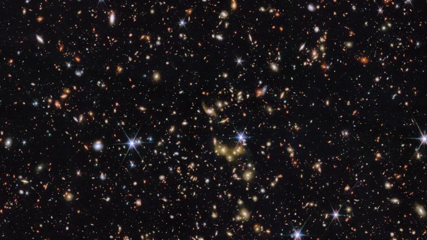 Uzaya 4 fare gönderildi, ABD endişeli... 71 uzaya 4 fare gonderildi abd endiseli hrURQHdi