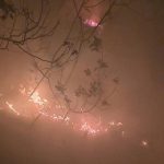 yildirim dustu orman yangini cikti 9HVbKZcW