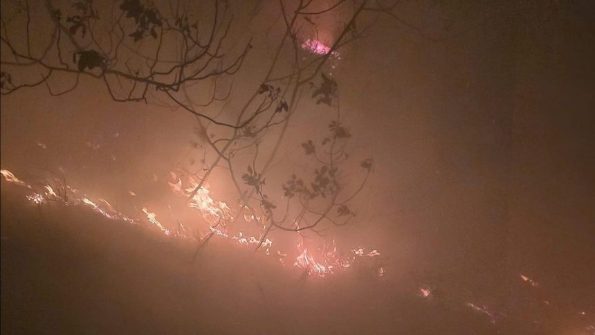 Yıldırım düştü, orman yangını çıktı 71 yildirim dustu orman yangini cikti 9HVbKZcW