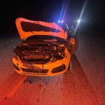 yola cikan dana kazaya neden oldu 2 yarali P1RtTBe1