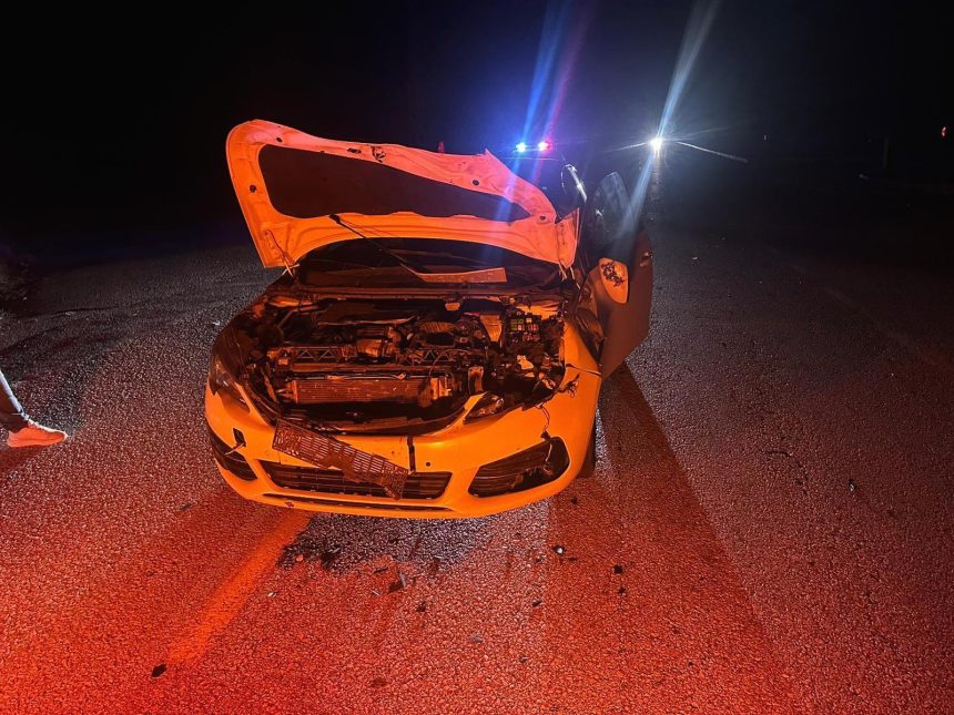 yola cikan dana kazaya neden oldu 2 yarali P1RtTBe1