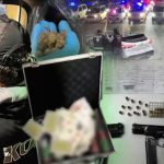 52 vilayette tefeci ve dolandiricilara yonelik operasyon Q23Rc7sI