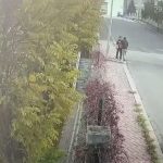 6 milyonluk vurgun uydurma polis tutuklandi ZPWOCNrY