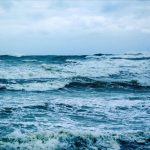 agir makineler pasifik tabanini deldi madencilik testlerinin yikici tesirleri aciga cikti 9iivwC7j