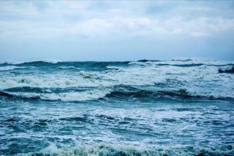 agir makineler pasifik tabanini deldi madencilik testlerinin yikici tesirleri aciga cikti 9iivwC7j