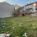 amasya ve eskisehirde meyyit kopek ve kediler bulundu e8Xmt92x