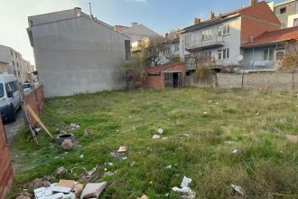 amasya ve eskisehirde meyyit kopek ve kediler bulundu e8Xmt92x