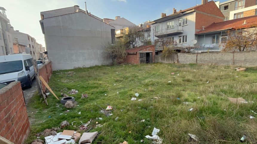 amasya ve eskisehirde meyyit kopek ve kediler bulundu e8Xmt92x