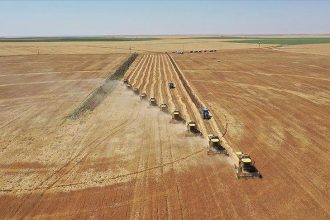 bocek ilaclarinin satisinda yeni duzenleme recetesiz ve internetten satisi yasaklandi zETEQaRb