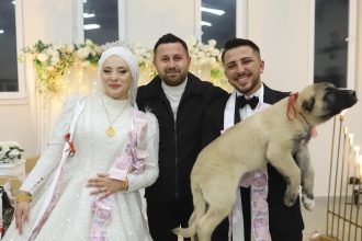 dugunde gelin ve damada taki yerine coban kopegi armagan edildi C1YkzY4J