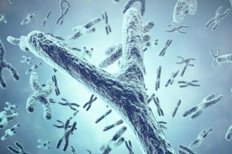 erkek cinsiyetini belirleyen y kromozomu yok oluyor FhfrHOwl