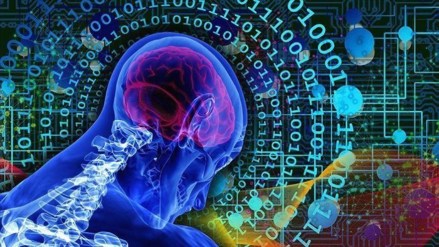 İnsanın beyin dokularıyla çalışan bilgisayarlar geliyor 71 insanin beyin dokulariyla calisan bilgisayarlar geliyor IHXlmcx4