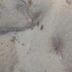 kacak avcilara rekor ceza hqK7aXeP