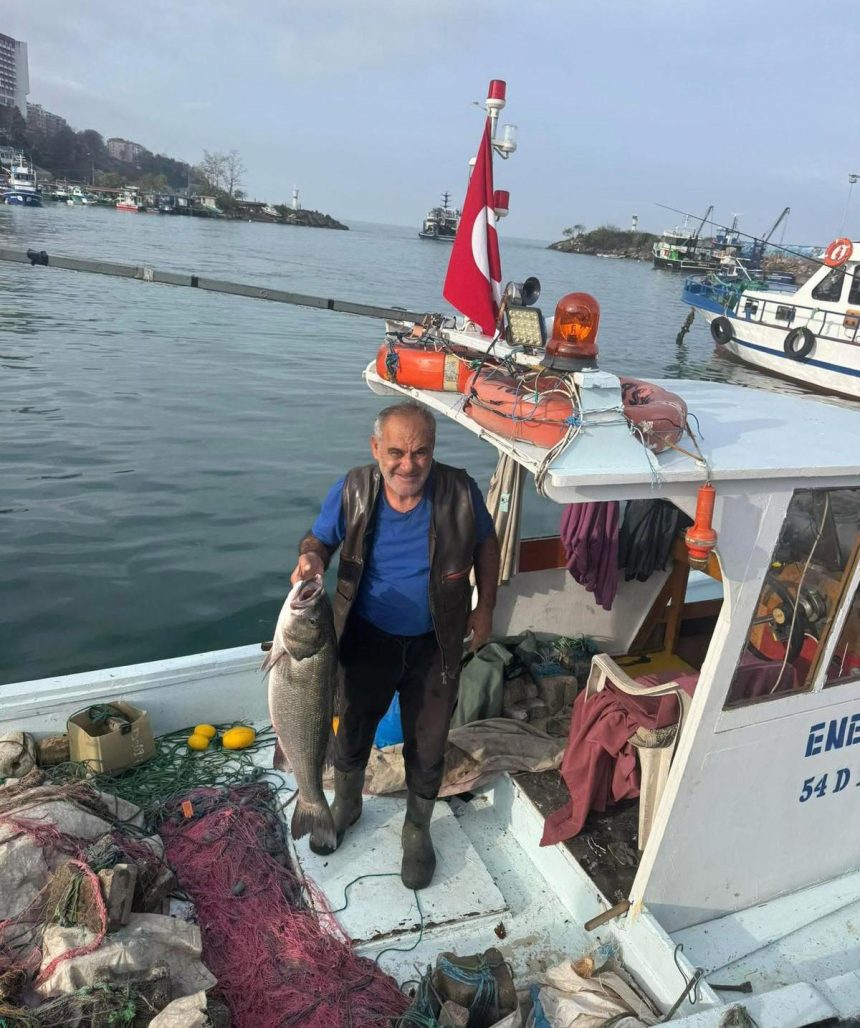 Kilosu bin lira. Balıkçının ağına 10 kiloluk takıldı 71 kilosu bin lira balikcinin agina 10 kiloluk takildi rXdN4Cjy