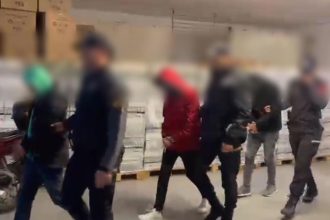 mersindeki yasa disi bahis operasyonunda 13 tutuklama SGds2n1a