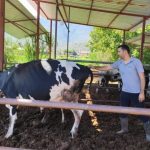 milasta 11 mahalle karantinaya alindi ViIOHcsq