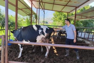 milasta 11 mahalle karantinaya alindi ViIOHcsq