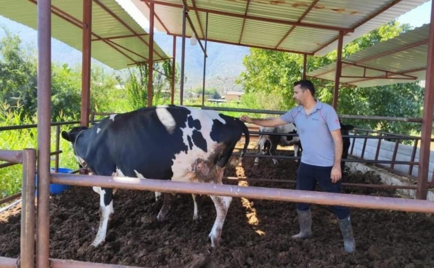 Milas'ta 11 mahalle karantinaya alındı 71 milasta 11 mahalle karantinaya alindi ViIOHcsq