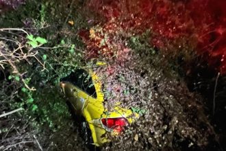 seyir halindeki taksi devrilen agacin altinda kaldi bWg1BUpD