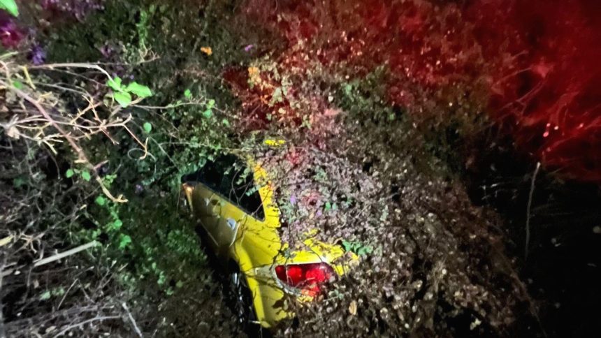 Seyir halindeki taksi, devrilen ağacın altında kaldı 71 seyir halindeki taksi devrilen agacin altinda kaldi bWg1BUpD