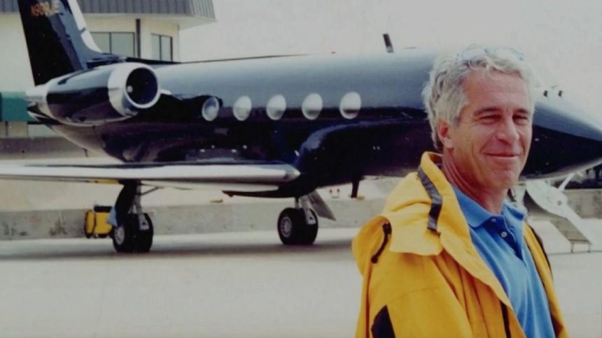 sistemde muhasebeciler avukatlar bankerler de var AxZC17ud